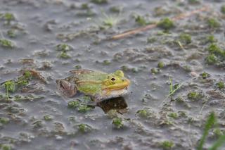 Beauté et bien-être : rituels, soins et tendances du moment