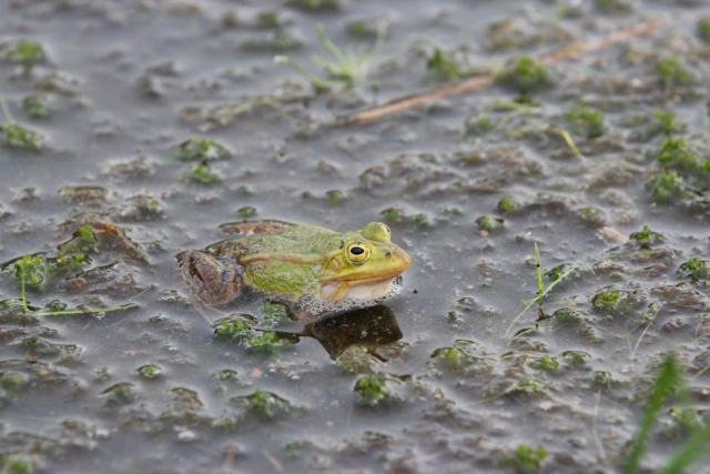 Beauté et bien-être : les soins, rituels et produits à adopter